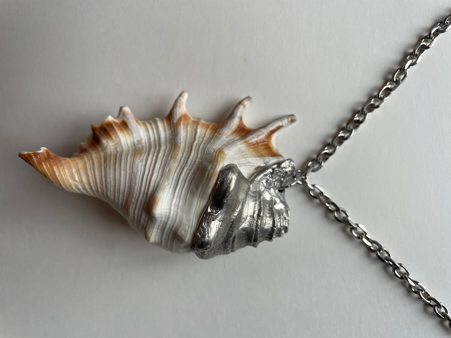shell necklace no.4