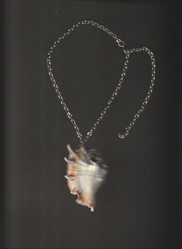 shell necklace no.4