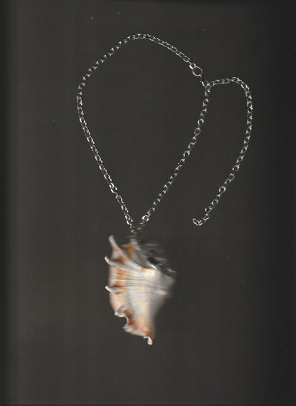 shell necklace no.4