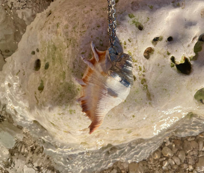 shell necklace no.4