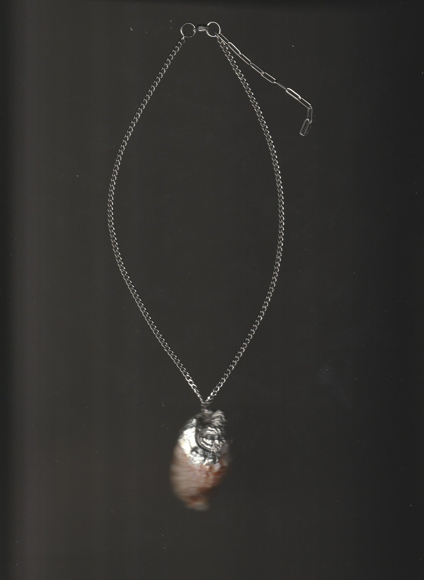shell necklace no.3