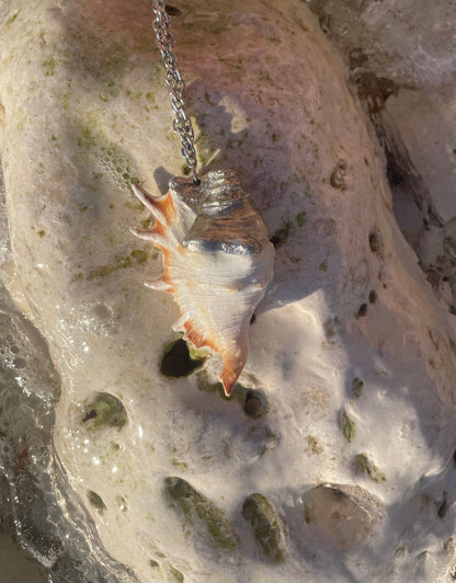 shell necklace no.4