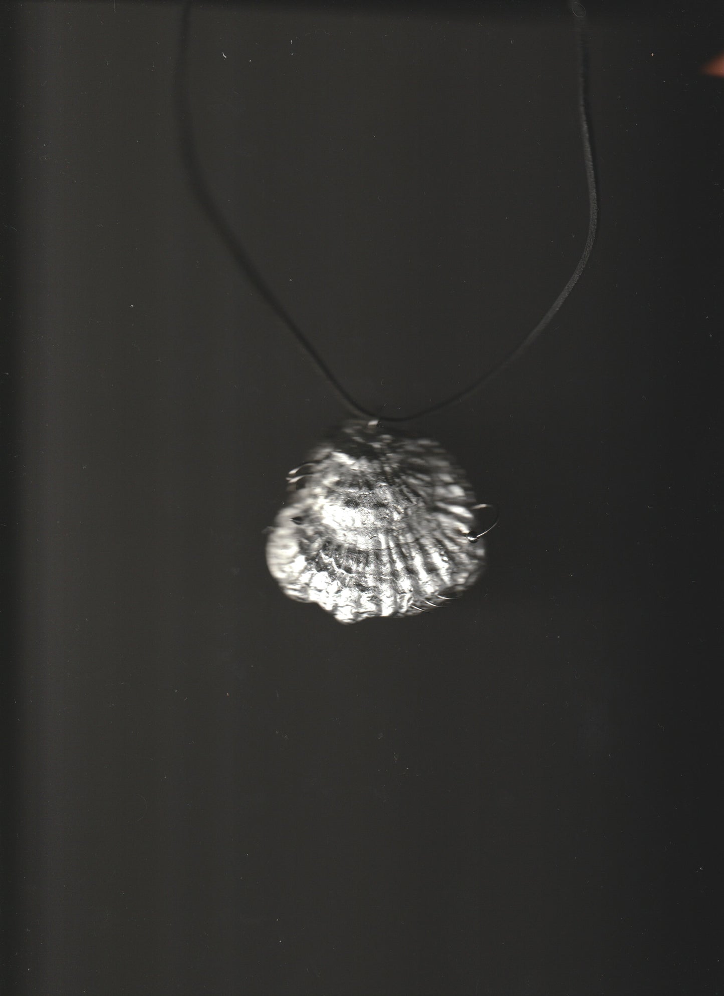 pierced oyster necklace