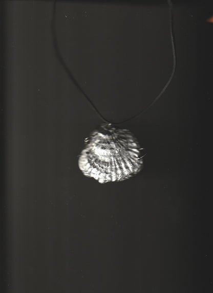 pierced oyster necklace