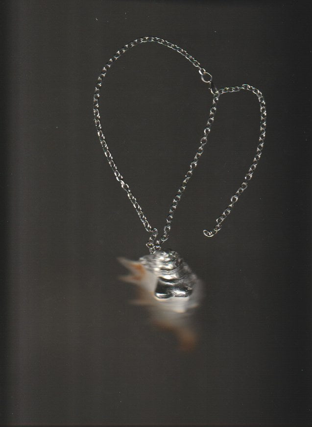 shell necklace no.4