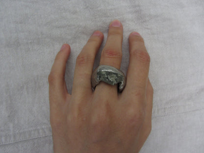 ring no. 14